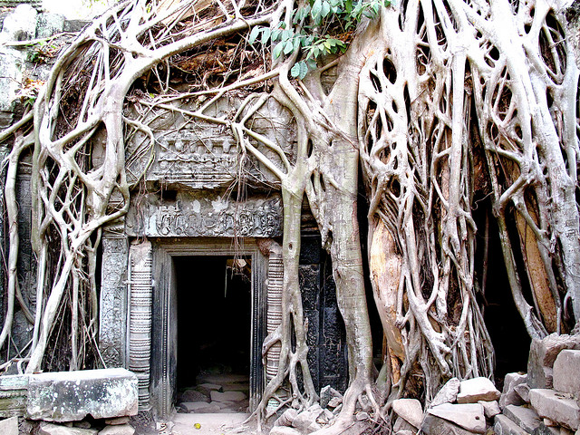 Ta Prohm寺庙- Atlas Obscura -图片博客