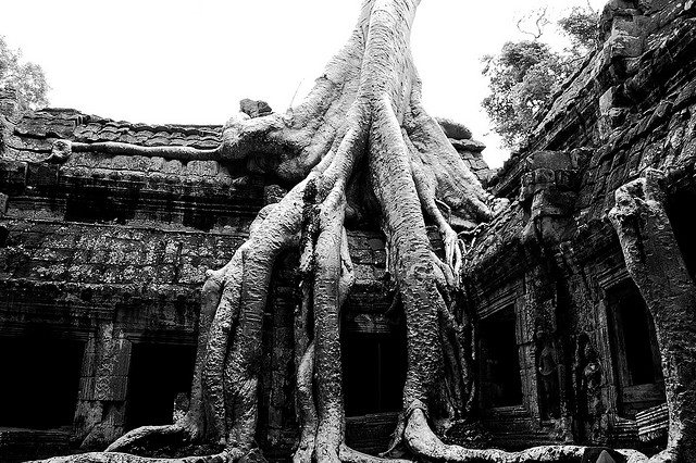 Ta Prohm柬埔寨的寺庙-阿特拉斯暗箱摄影博客