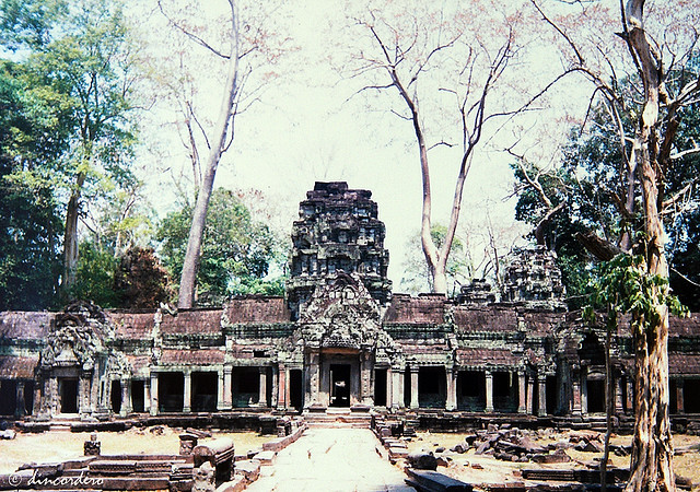 柬埔寨吴哥窟塔普罗姆寺-博客来自Atlas Obscura